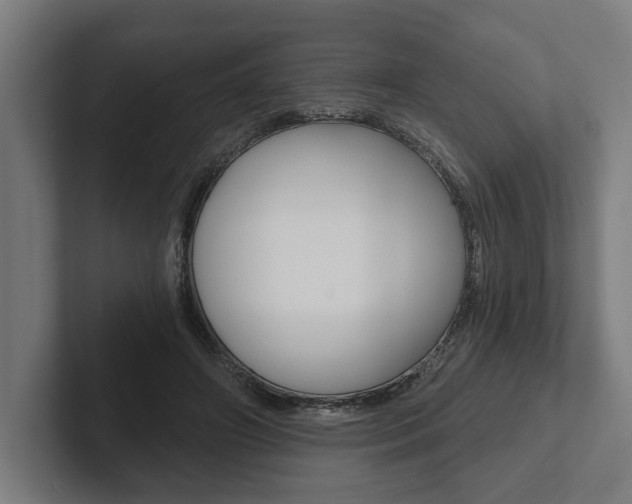 X0000102800498200808180935