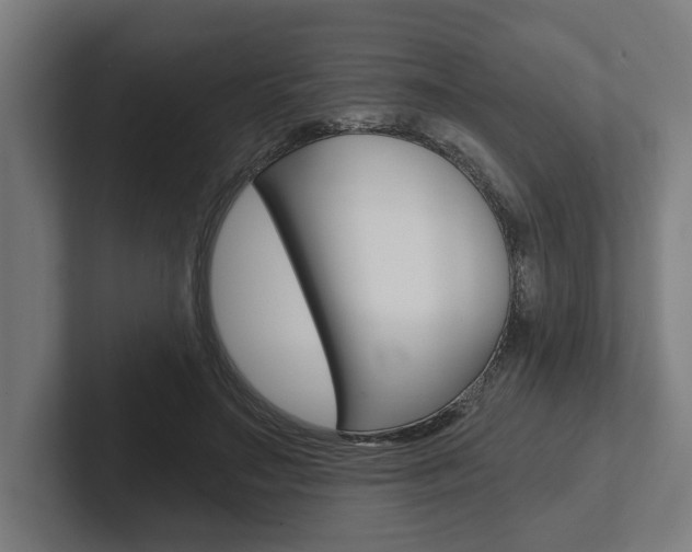 X0000102800499200808180935