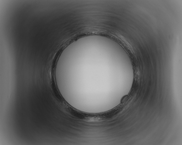 X0000102800500200808180935