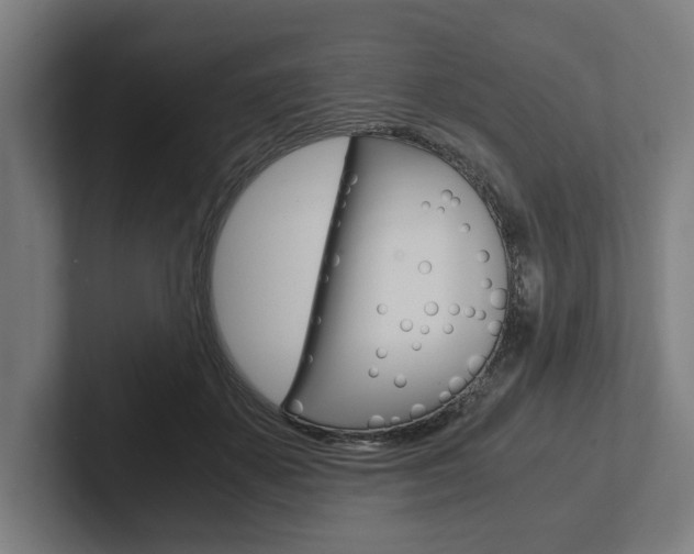 X0000102800507200808180935