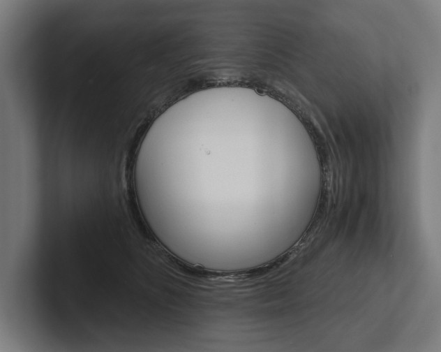 X0000102800516200808180935
