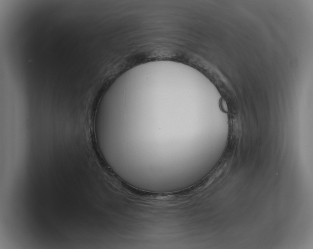 X0000102800517200808180935