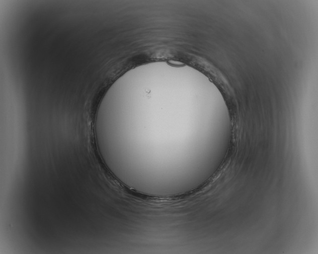 X0000102800521200808180935