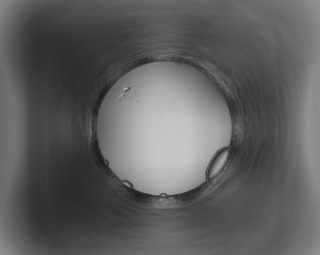 X0000102800525200808180935