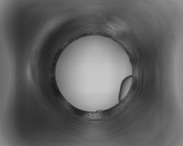 X0000102800526200808180935