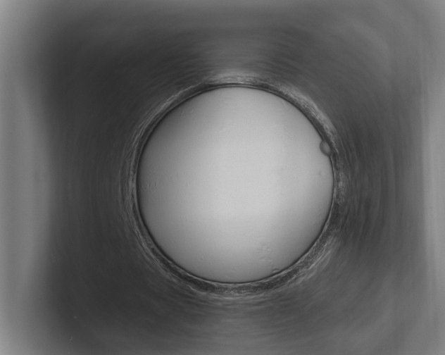 X0000102800529200808180934