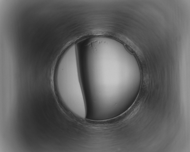 X0000102800530200808180934