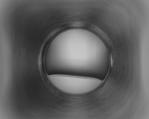 X0000102800531200808180934