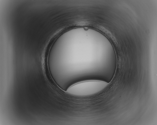 X0000102800535200808180934