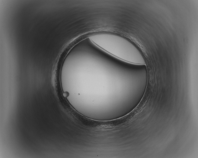 X0000102800536200808180934