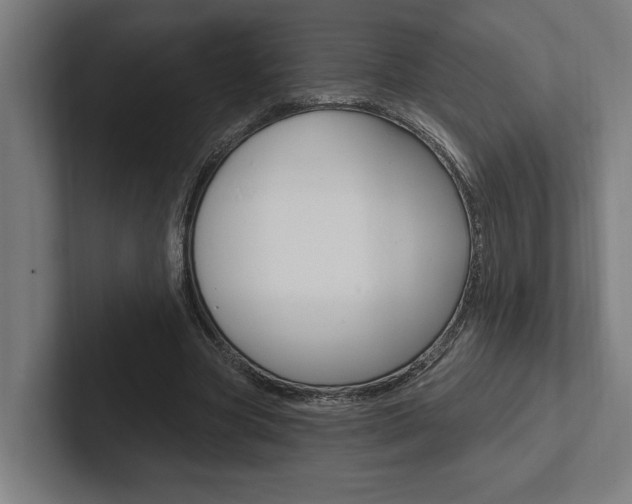 X0000102800537200808180934