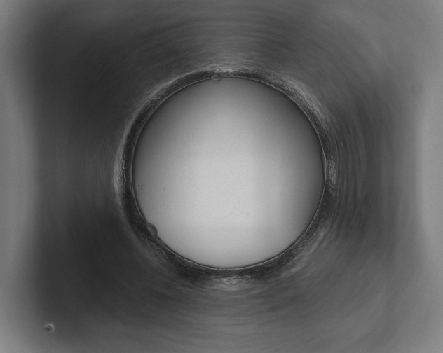 X0000102800540200808180934