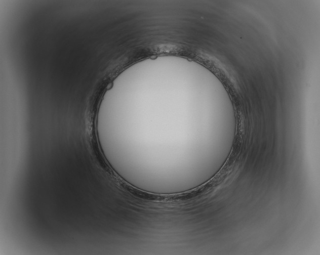 X0000102800545200808180934
