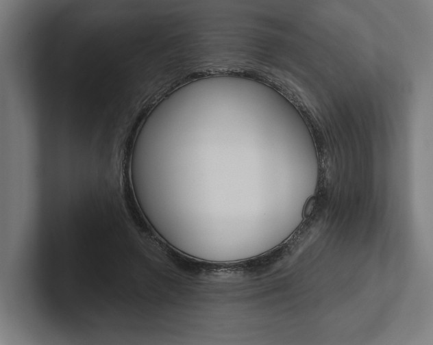 X0000102800546200808180934