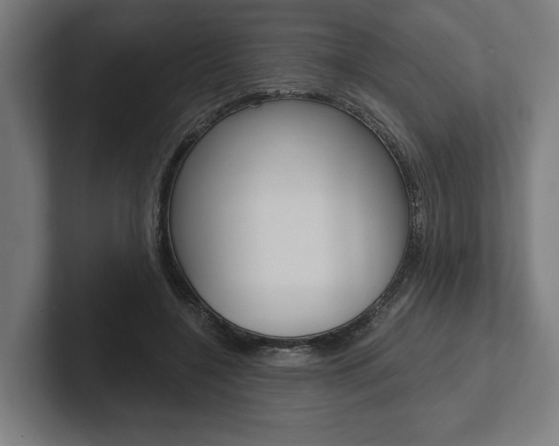 X0000102800548200808180934