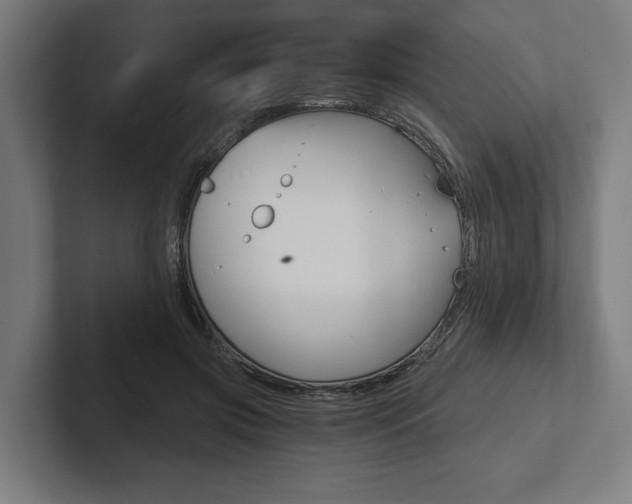 X0000102800549200808180935