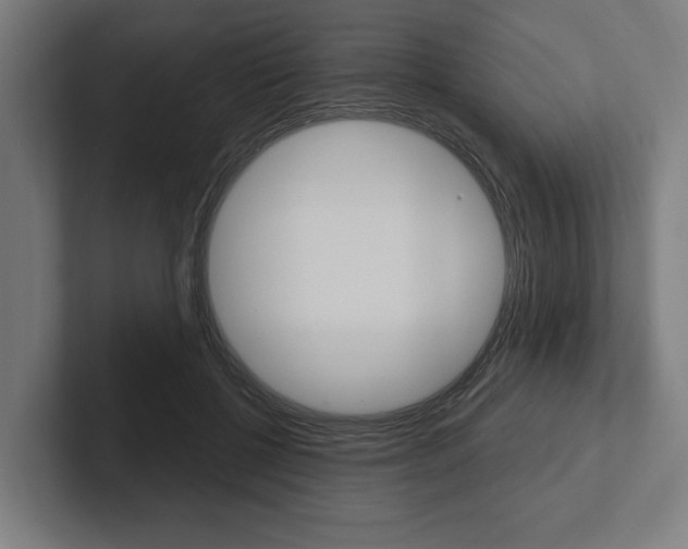 X0000102800552200808180935