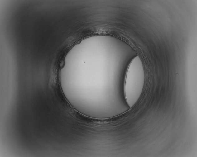 X0000102800554200808180935