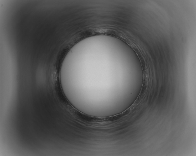 X0000102800555200808180935