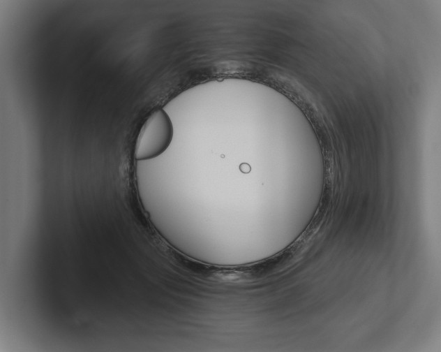 X0000102800557200808180935