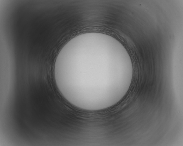X0000102800558200808180935