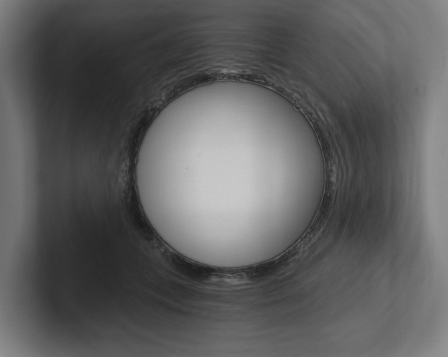 X0000102800559200808180935