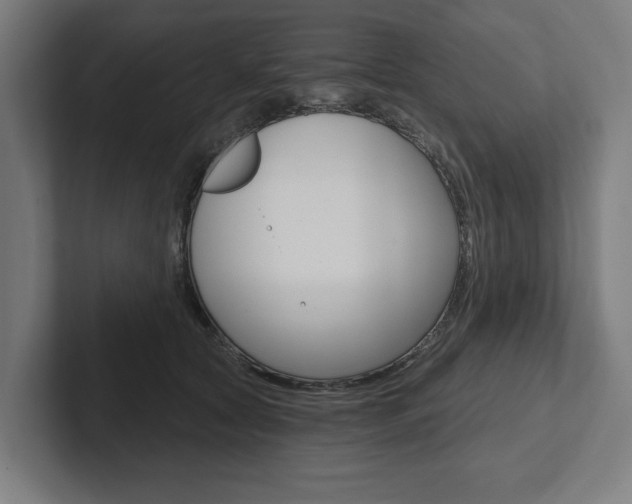 X0000102800561200808180935