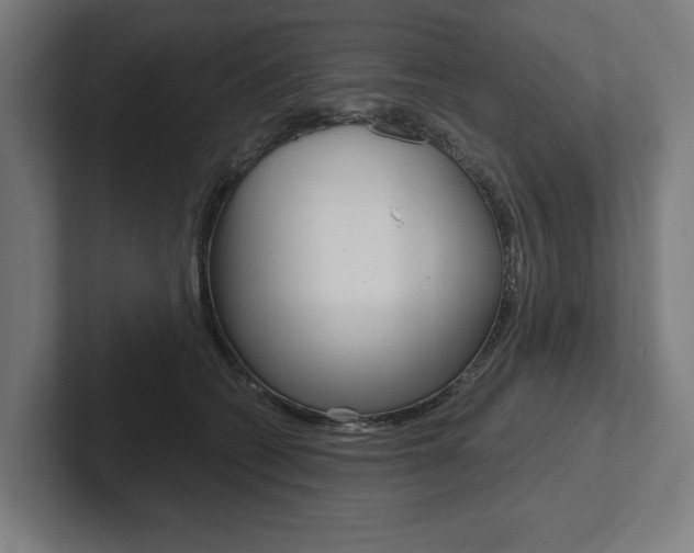 X0000102800562200808180935
