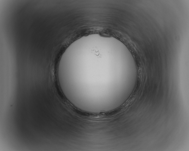 X0000102800564200808180935