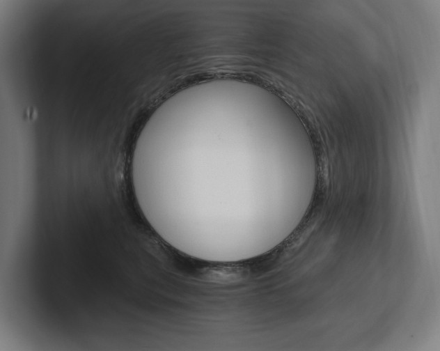 X0000102800567200808180935