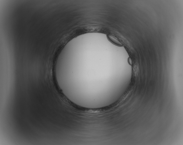 X0000102800570200808180935