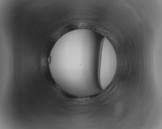 X0000102800571200808180935