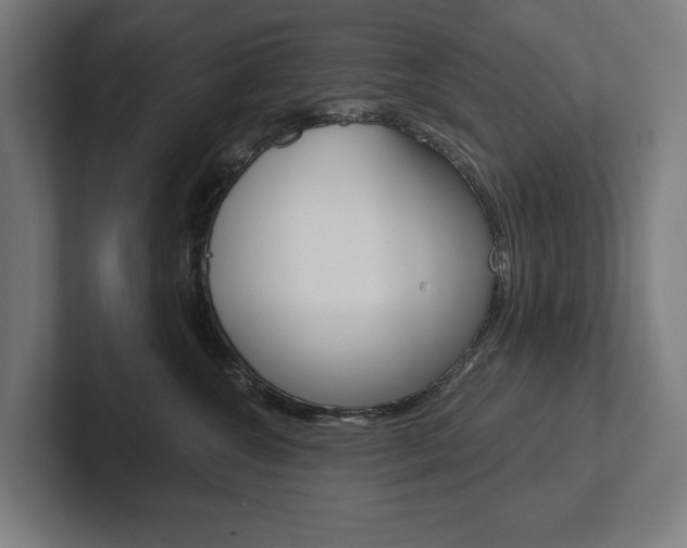 X0000102800572200808180935