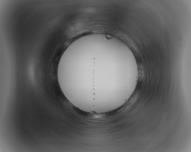 X0000102800573200808180935