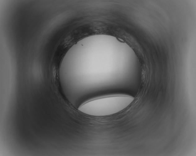 X0000102800574200808180935