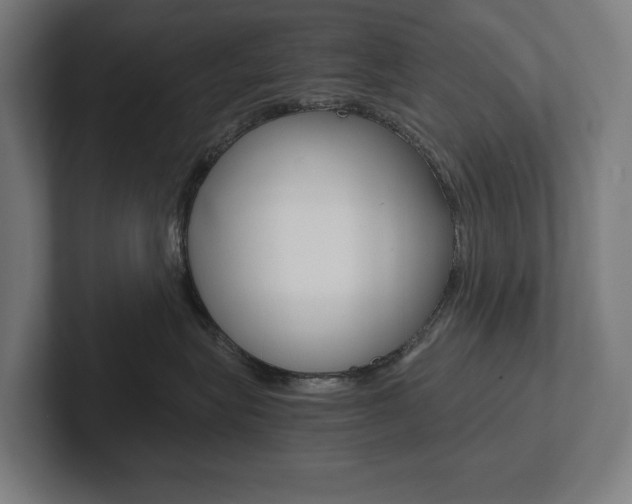 X0000102800575200808180935
