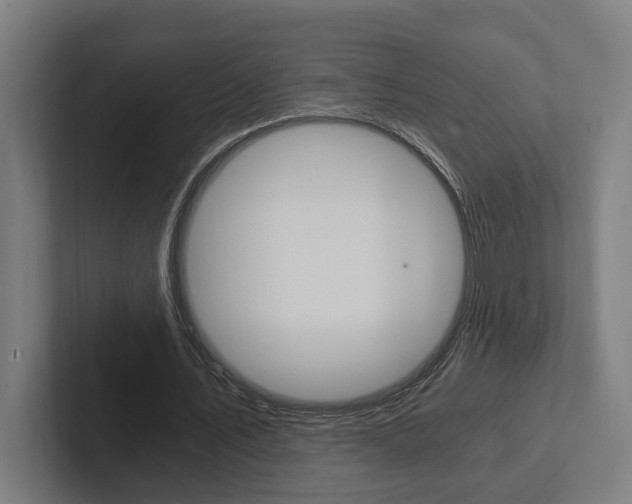 X0000102800579200808180934