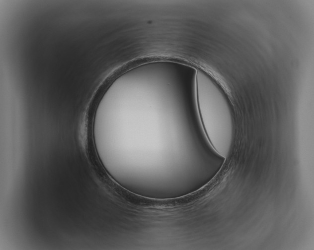 X0000102800580200808180934