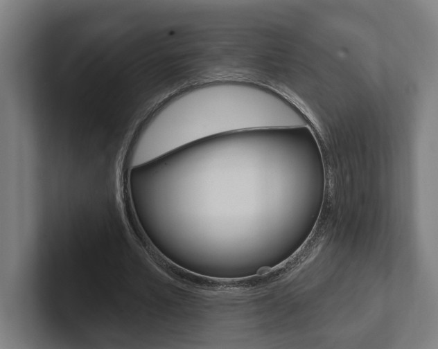 X0000102800581200808180934