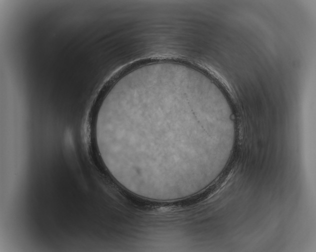 X0000102800584200808180934