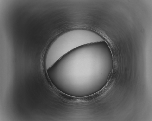 X0000102800585200808180934