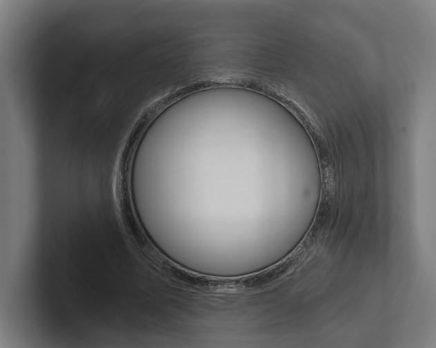 X0000102800587200808180934