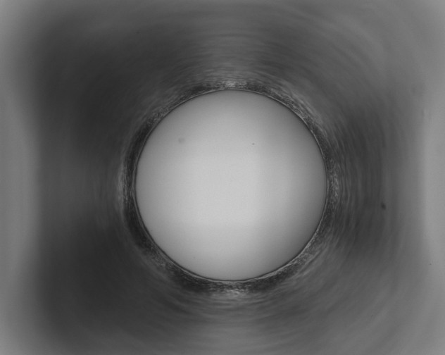 X0000102800594200808180934