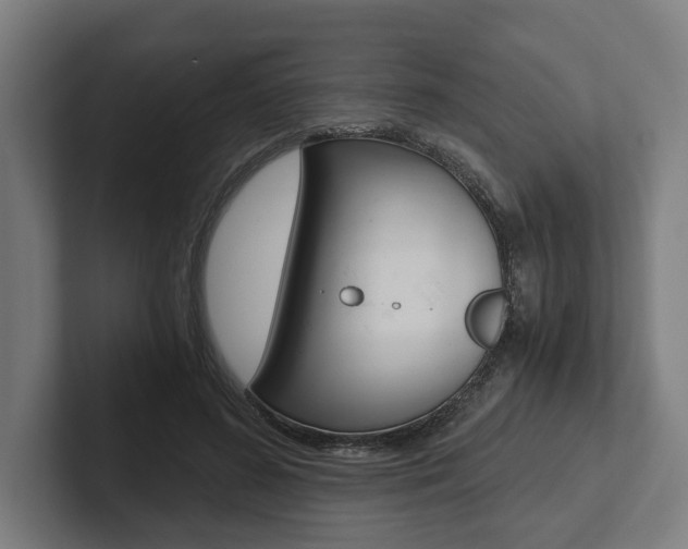 X0000102800596200808180934