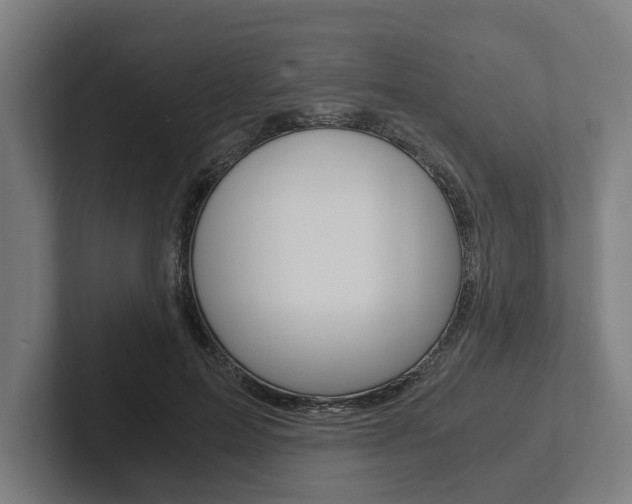 X0000102800599200808180934
