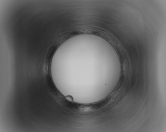X0000102800602200808180934