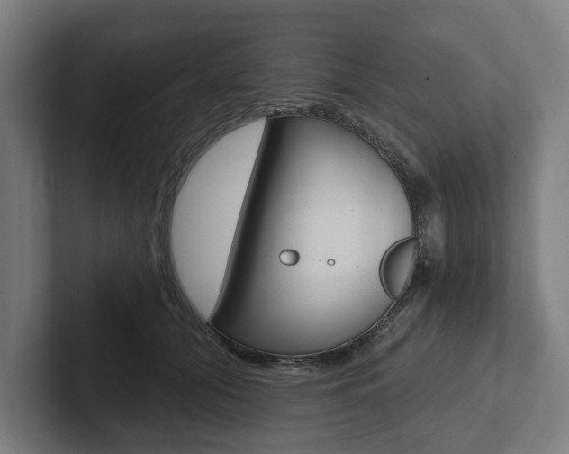 X0000102800608200808180934