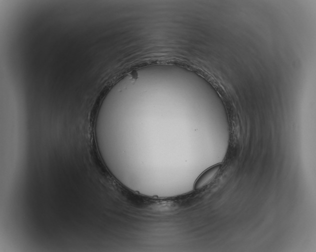 X0000102800609200808180934
