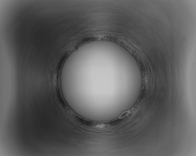 X0000102800611200808180934