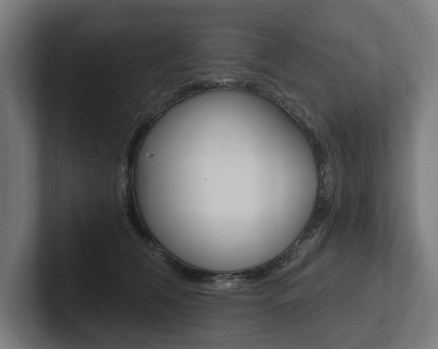 X0000102800612200808180934